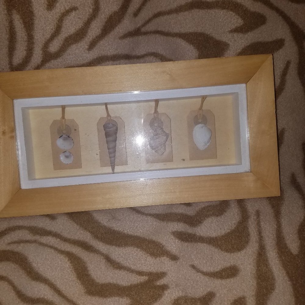 Shell wall art